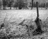 Wood Post in Field