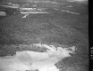 Aerial of Trees