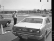 Traffic Survey on Williston Rd.