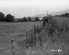 Unpaved Route 118 in Eden, Farmland