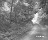 Rural Road in Georgia