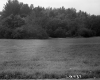 Somers Estate in Ryegate/Barnet, Meadow and Forest