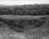 Somer Family Pasture with Shrub Border