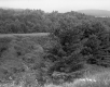 Somer Family Pasture Lands with Hilly Forested  Border