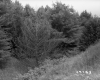 Somers Family Land with Downward Grassy Slope