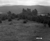 Hilly Meadow with River Visible in the Background