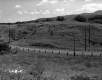 Hills by Road