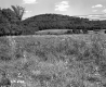 Field with Grass
