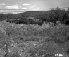 Field and Hills