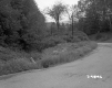 Curved Road