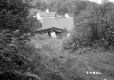 Houses and Trees
