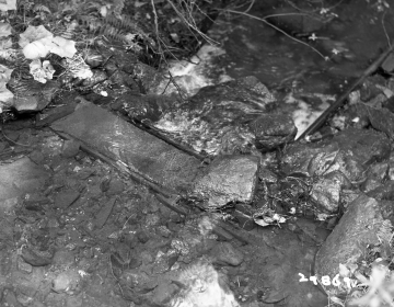 Beam in Stream
