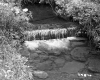 Beam in Stream
