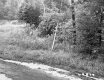 Dirt Road