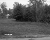 Grassy Lot