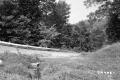 Guard Rails by Road