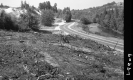 Cut Area by Road