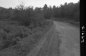 Dirt Road