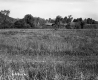 Field with Grass