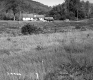 Field with Grass