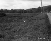 Field by Road