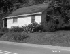 House by Road