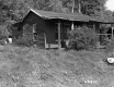 Wooden House