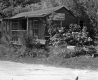 House with Small Shop
