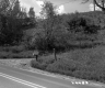 Driveway by Road