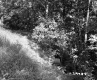 Steep Slope with Grass