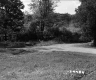Grass by Driveway