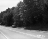 Trees and Car by Road