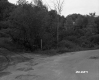 Fork in Road