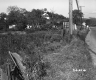 Field by Paved Road