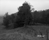 Wire Fence in Field