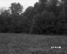 Field Extending to Trees