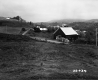 Houses by Fields and Roads