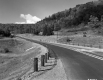 Guard Rails by Road