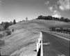 Guard Rails by Road
