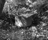 Cylinder on Forest Floor