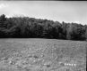 Field Extending to Trees