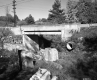 Concrete Pillars Under Bridge