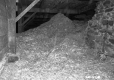 Barn