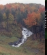 Trees by Rocky Stream