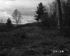 Field Area with Plants
