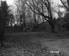 Cabins in Forest