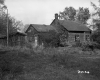 House Surrounded by Plants
