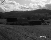 Field by Farm