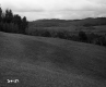 Grassy Hills