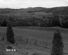 Wire Fence in Field